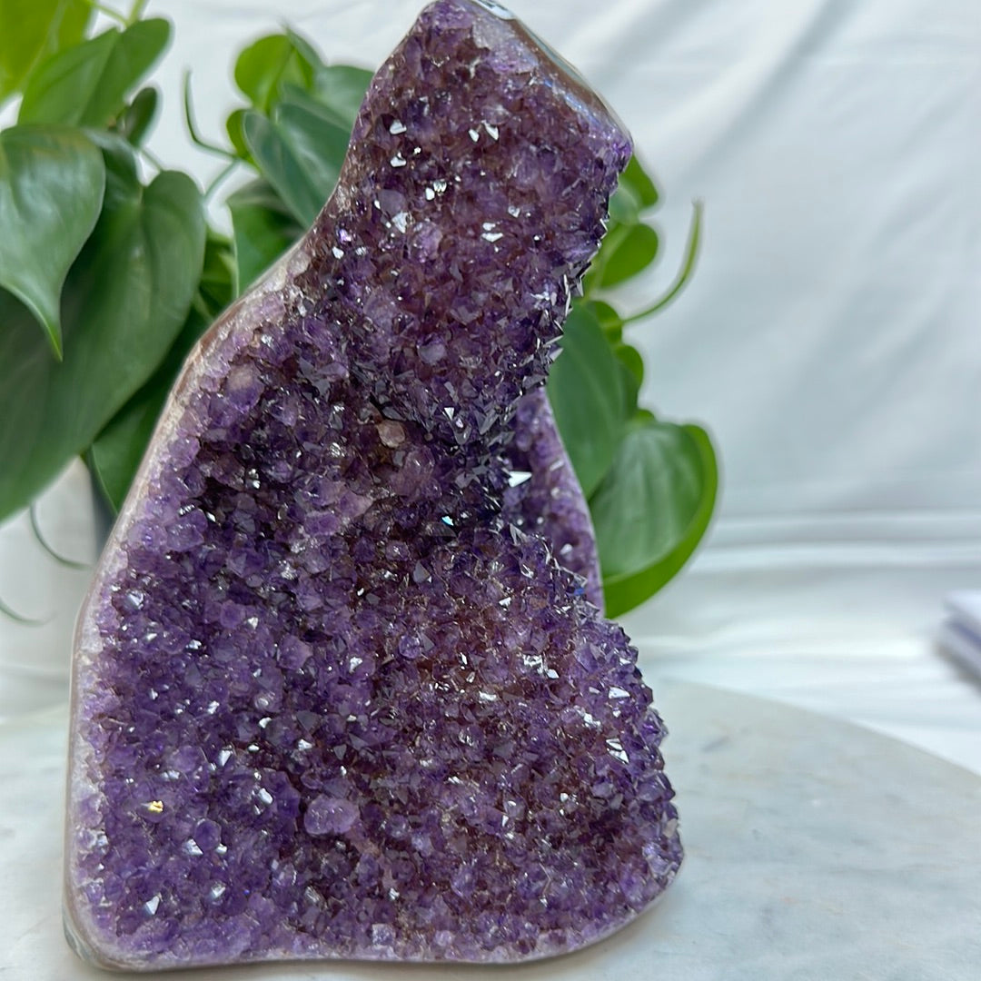 Amethyst Cut Base 6.6 lbs