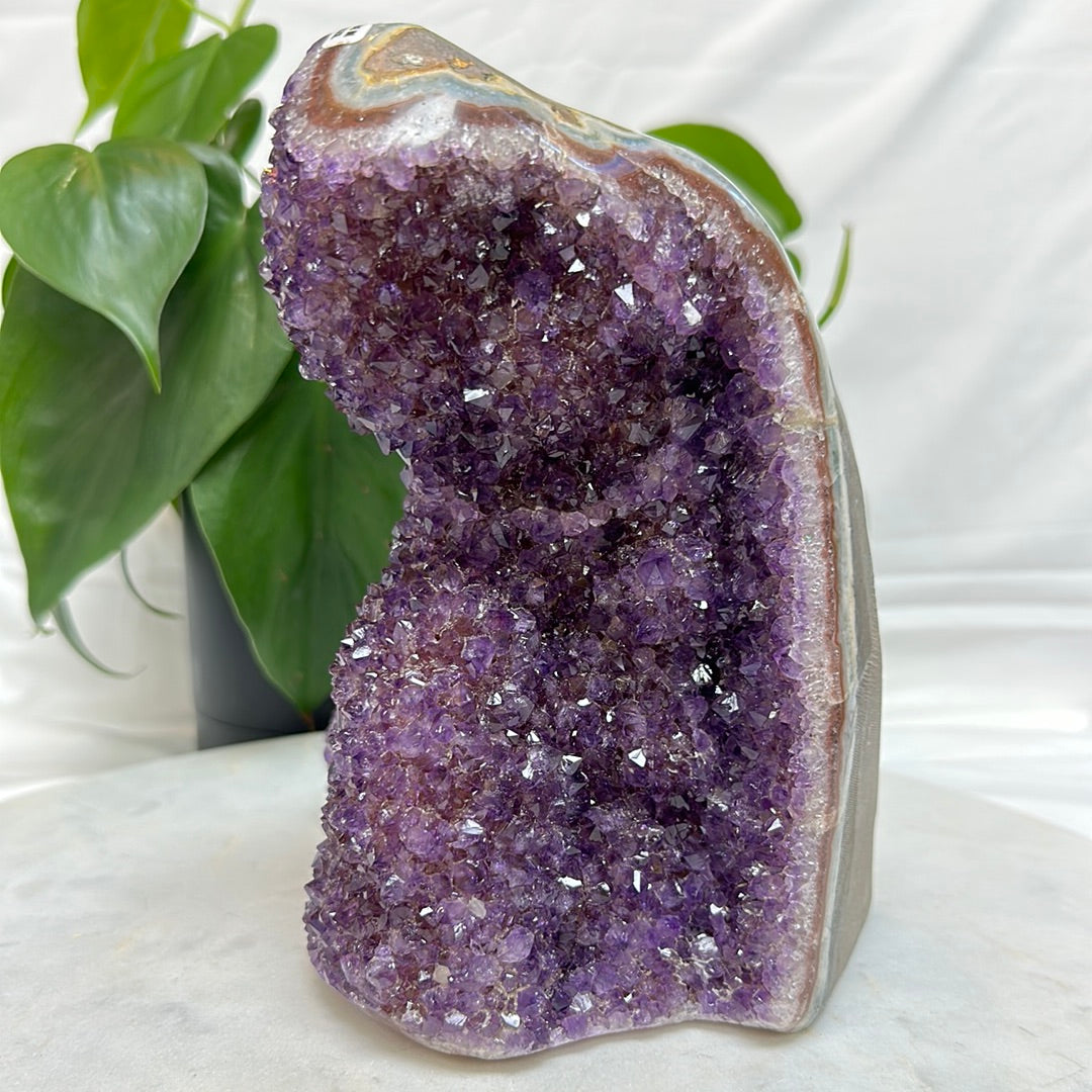 Amethyst Cut Base 6.6 lbs