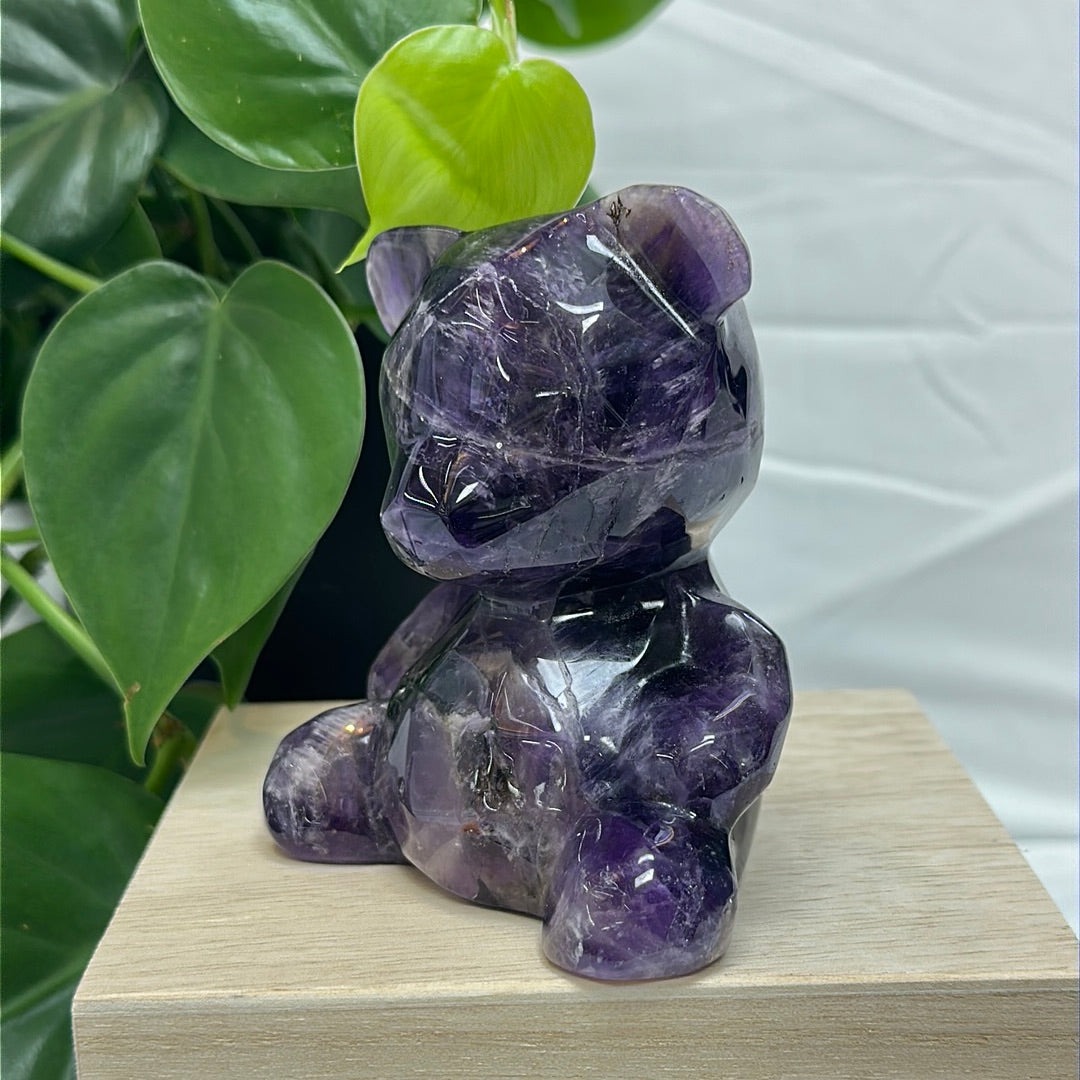 Amethyst Bear